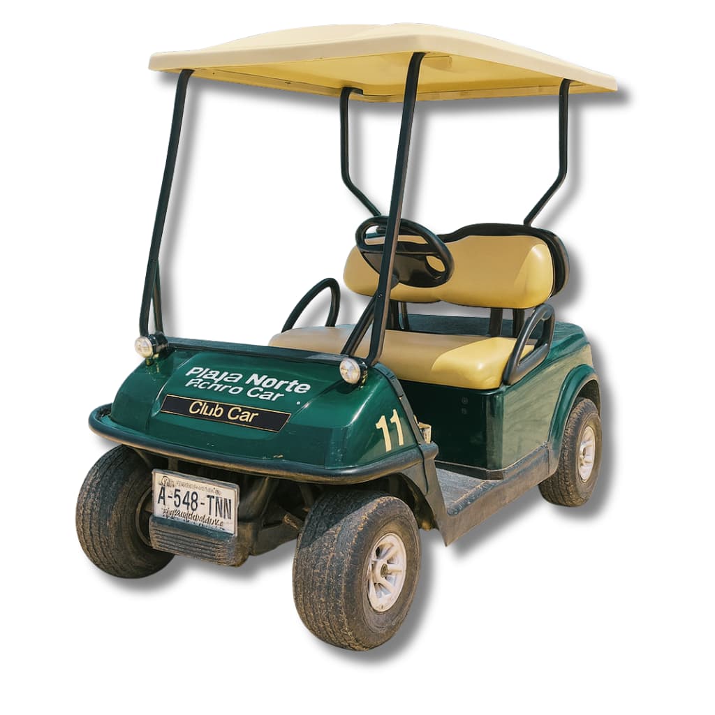 Isla Mujeres Golf Carts Price